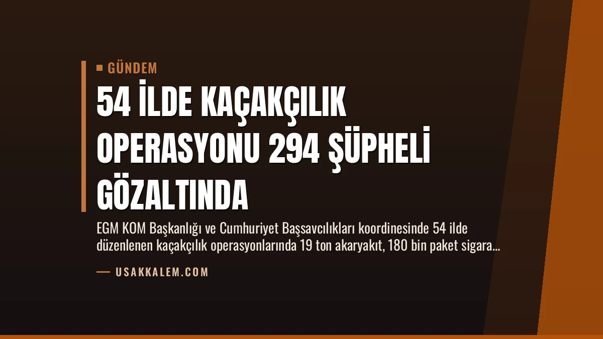 54 İlde Kaçakçılık Operasyonu 294 Şüpheli Gözaltında