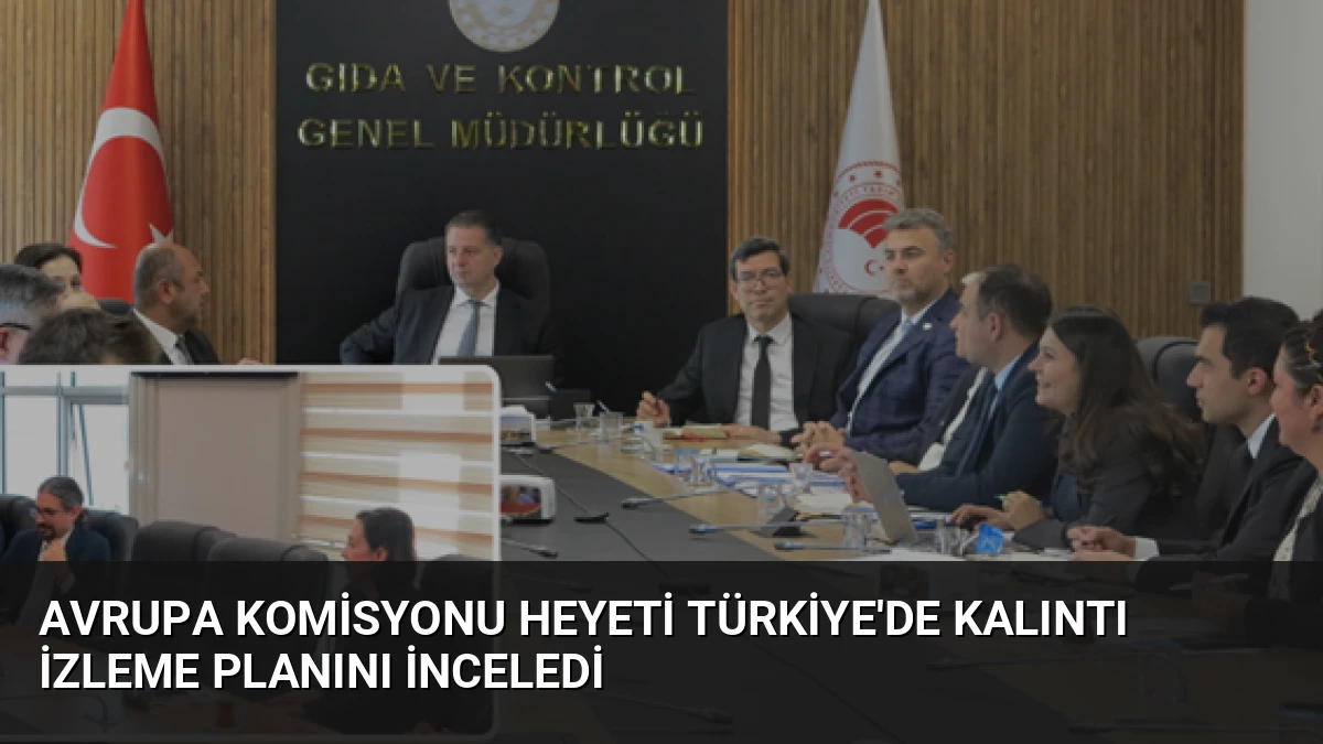 Avrupa Komisyonu Heyeti Türkiye’de Kalıntı İzleme Planını İnceledi