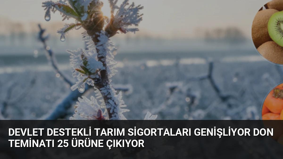 Devlet Destekli Tarım Sigortaları Genişliyor Don Teminatı 25 Ürüne Çıkıyor