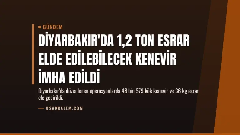 Diyarbakır’da 1,2 Ton Esrar Elde Edilebilecek Kenevir İmha Edildi