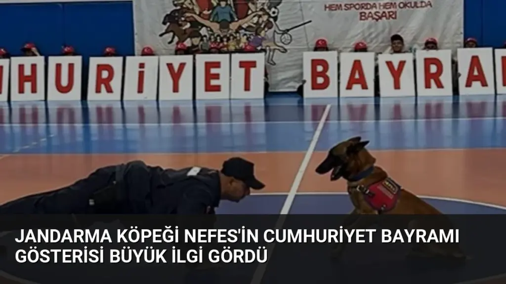 Jandarma Köpeği Nefes'in Cumhuriyet Bayramı Gösterisi Büyük İlgi Gördü