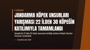Jandarma Köpek Unsurları Yarışması 22 İlden 30 Köpeğin Katılımıyla Tamamlandı