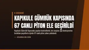 Kapıkule Gümrük Kapısında 67 Canlı Piton Ele Geçirildi