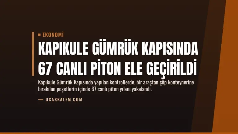 Kapıkule Gümrük Kapısında 67 Canlı Piton Ele Geçirildi