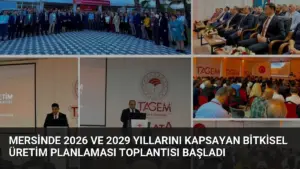 Mersinde 2026 ve 2029 Yıllarını Kapsayan Bitkisel Üretim Planlaması Toplantısı Başladı