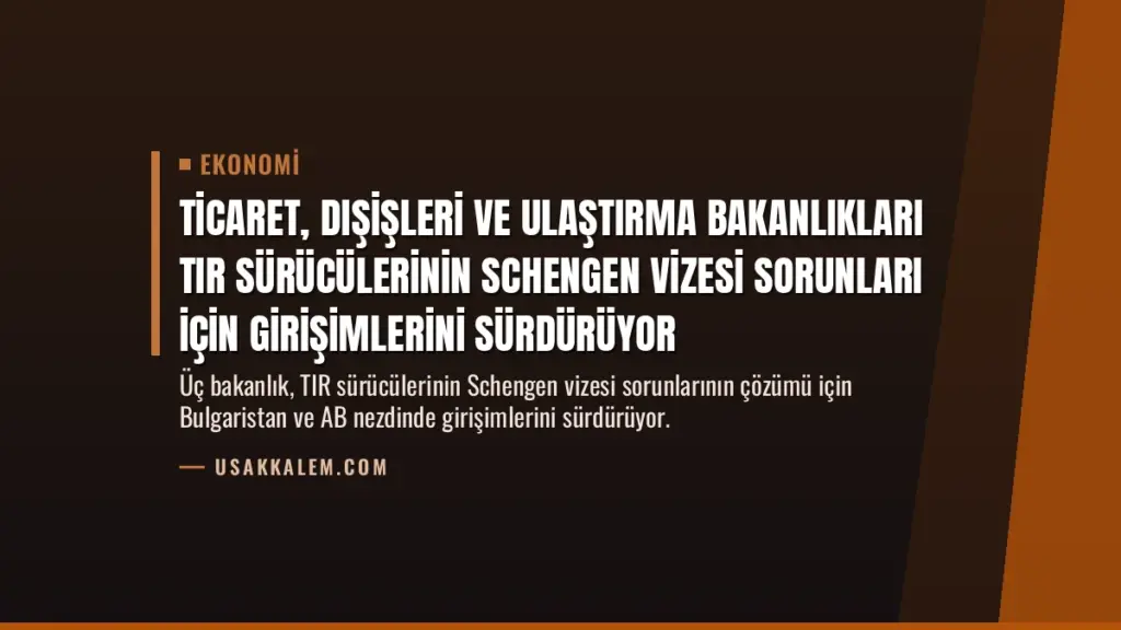 Ticaret, Dışişleri ve Ulaştırma Bakanlıkları TIR Sürücülerinin Schengen Vizesi Sorunları İçin Girişimlerini Sürdürüyor