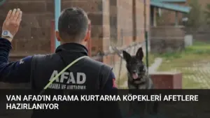 Van AFAD'ın Arama Kurtarma Köpekleri Afetlere Hazırlanıyor